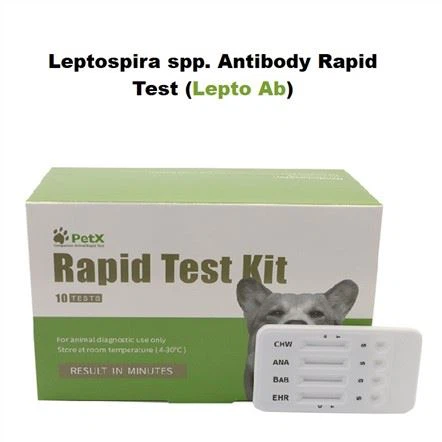 LEPTO Ab